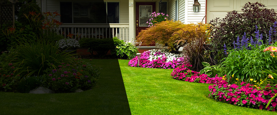 Tomball Landscapers