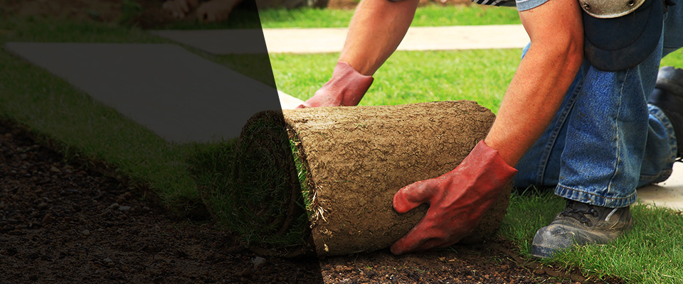 Tomball Landscapers